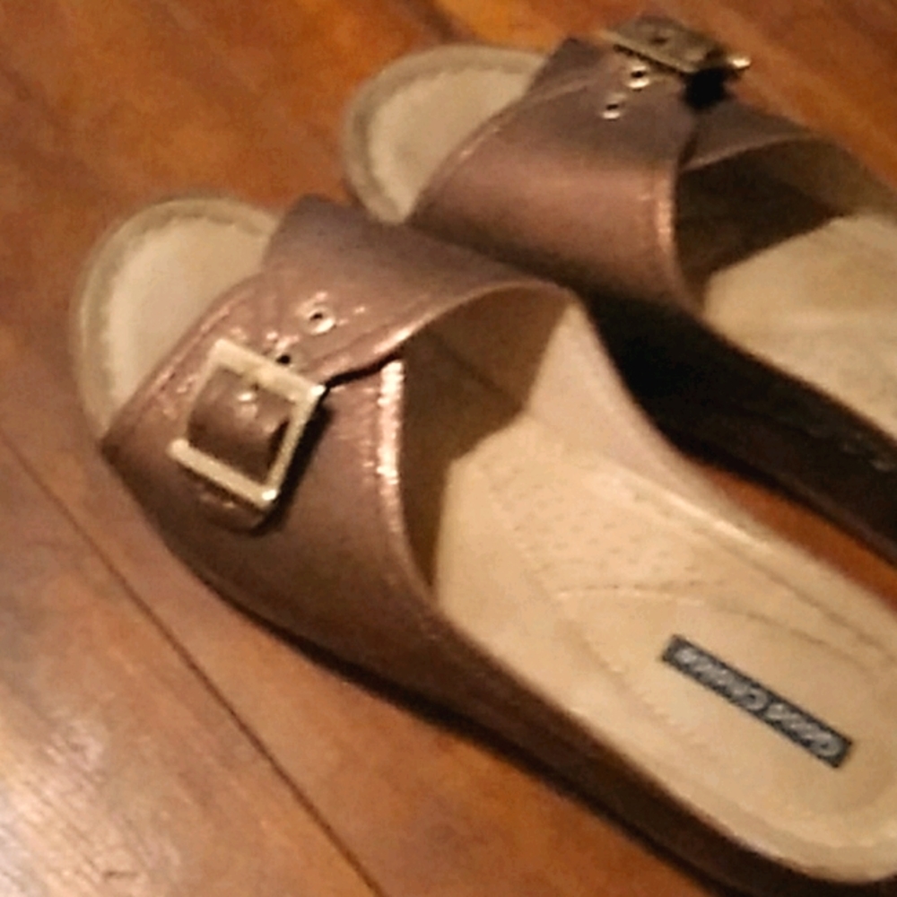 Good choice Dafini buckle wedge, slides